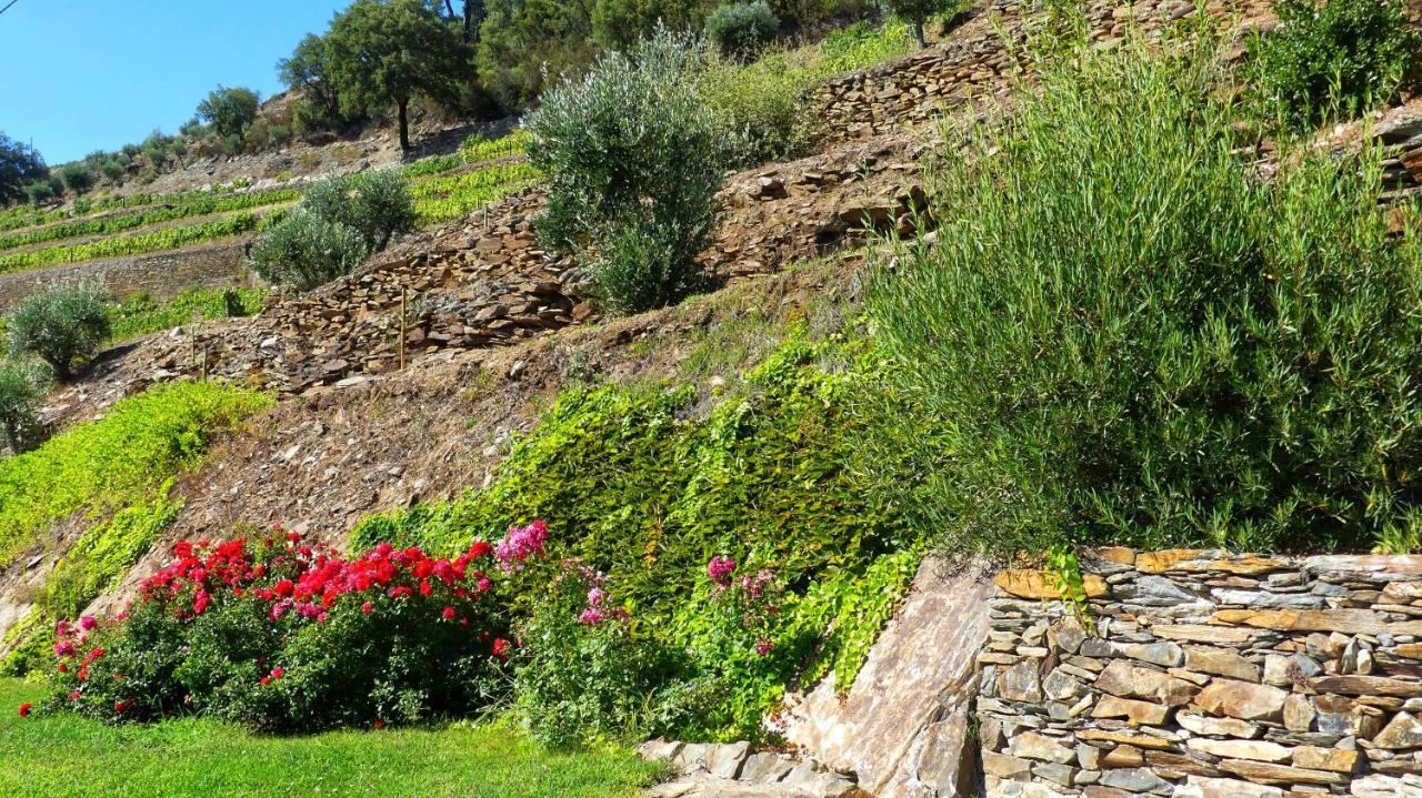 Country House Quinta Da Salgueira Alijó Buitenkant foto