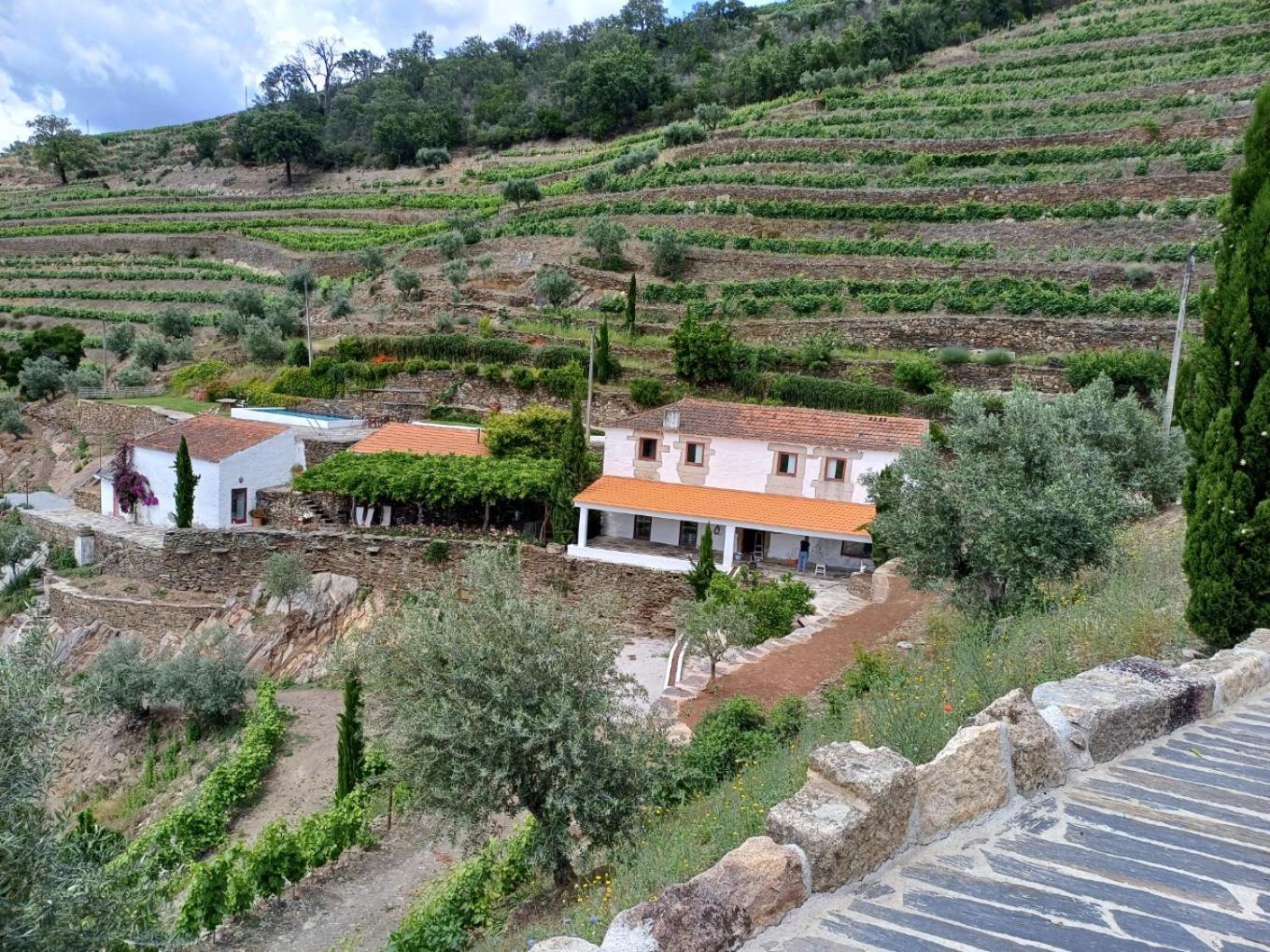 Country House Quinta Da Salgueira Alijó Buitenkant foto