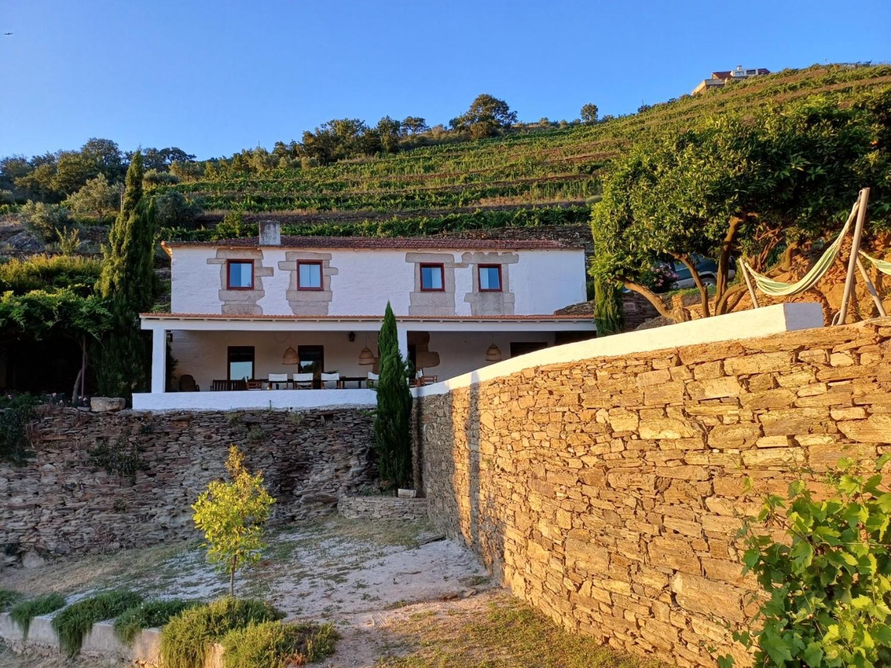 Country House Quinta Da Salgueira Alijó Kamer foto