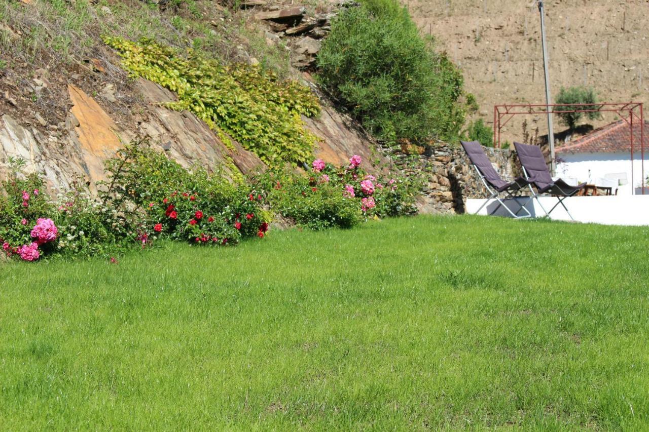 Country House Quinta Da Salgueira Alijó Buitenkant foto